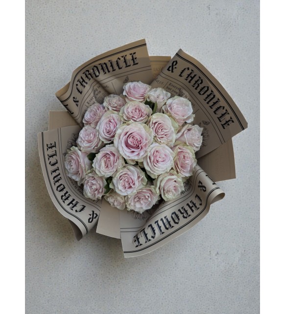 Ecuador Blush – Premium Ekvador